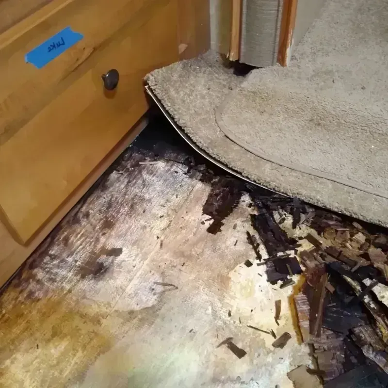 Best Wood Floor Water Damage Service in Daytona Beach Shores, FL